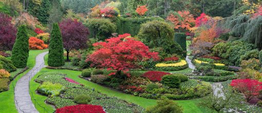 Butchart Gardens