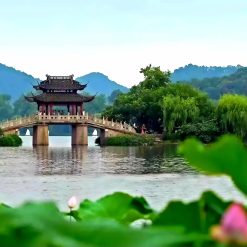 du lịch mùa sen tháng 7 trung quốc