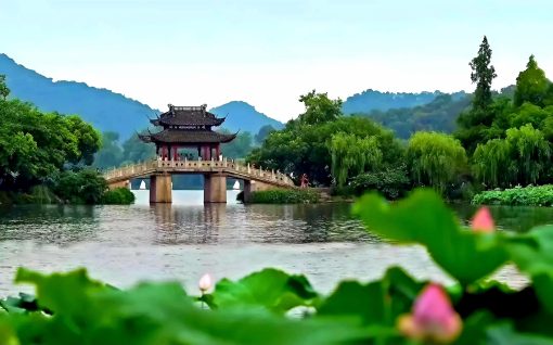 du lịch mùa sen tháng 7 trung quốc