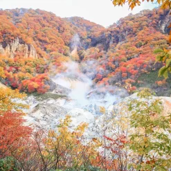 du lịch mùa thu hokkaido