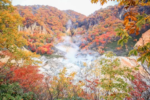 du lịch mùa thu hokkaido