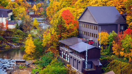 mùa thu ở hokkaido