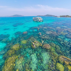 kinh nghiệm lặn ngắm san hô phú quốc